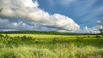 On the outskirts / ***