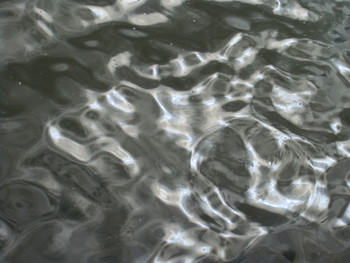The water surface / ***