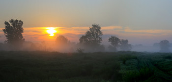 Fog dissipates / ***