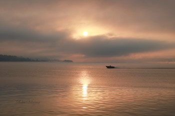 Pink mist. / ***