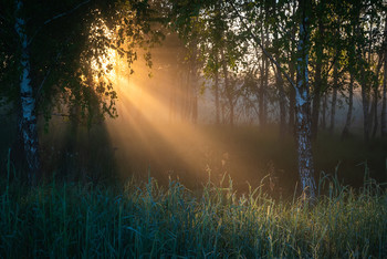 At dawn / ***