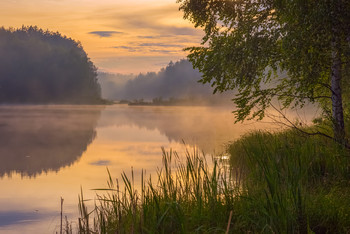 Evening fog / ***