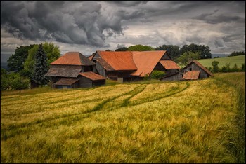 Landleben / Sommer