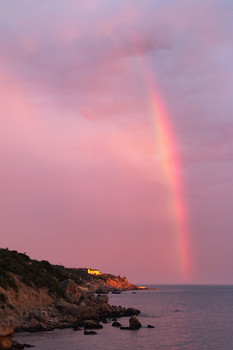 Rainbow / ***