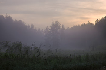 It was getting dark / ***