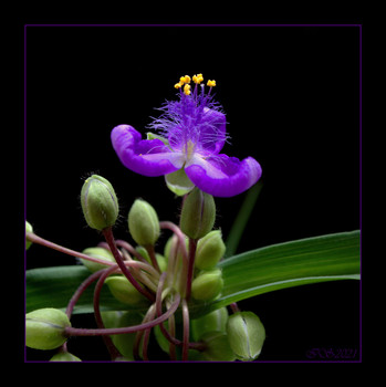 &nbsp; / [img]https://i.imgur.com/vTnIPGm.jpg[/img]
 [img]https://i.imgur.com/oVNk8xw.jpg[/img]
 [img]https://i.imgur.com/lYXOkWf.jpg[/img]
 [img]https://i.imgur.com/k9vJiCb.jpg[/img]