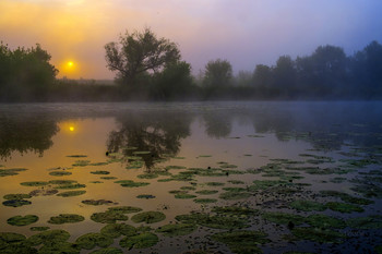 Dawn on the lake. / ***