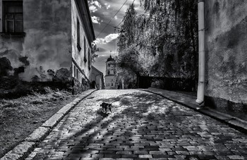 local / ***
