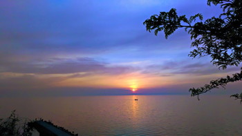 boat / ***