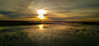 Sunset / ***