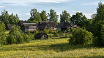 The farm / ***