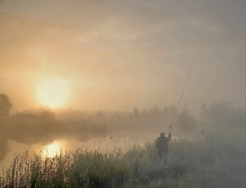Sun Catcher / ***