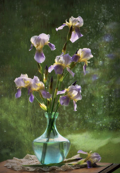 Schwertlilien / 2021