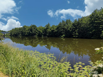 &nbsp; / --------------------------