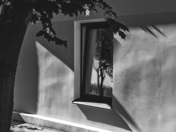 Window / ***