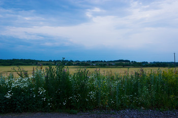 Abenddämmerung / ***