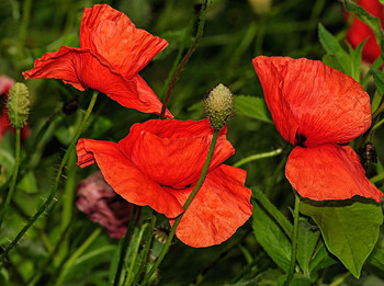 &nbsp; / ==================