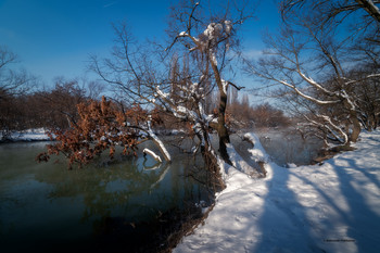 Sunrise over the river / ***