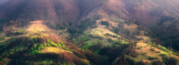 Spring hillside / ***