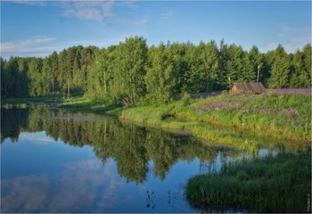 On the lake / ***
