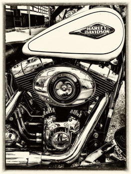 HARLEY / ***