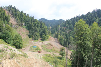 In the mountains of the Caucasus / ***