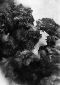 Rosarium / ***