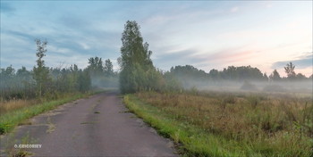 Foggy morning. / ***