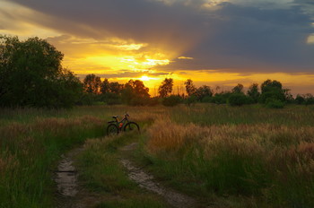 An Sommerabenden / ***