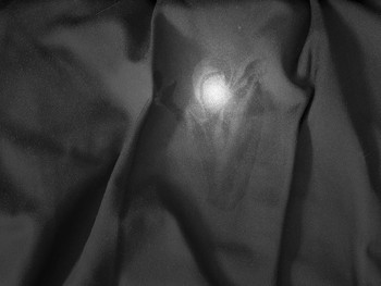 Ghost story / There is a light