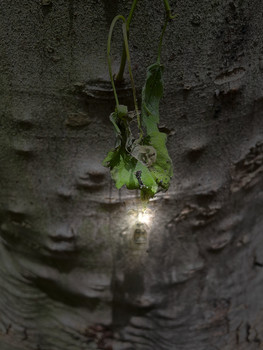 Imaginary Day / Life in texture