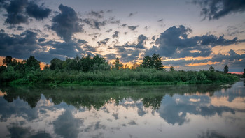 Reflection / ***