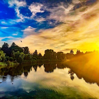 Sunset / ***