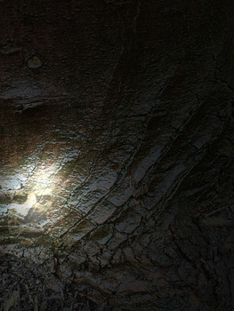 The man in texture / Mysterious