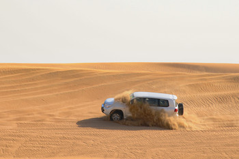 Safari / ...