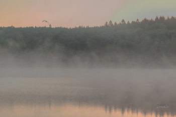 Fog dissipates / ***