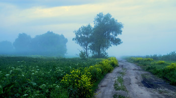 Foggy morning. / ***