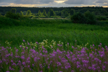 About summer ... / ***