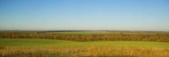 fields / ***