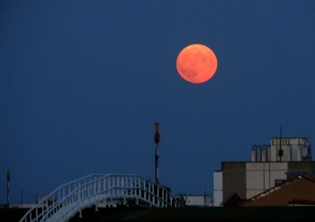 Full moon / ***