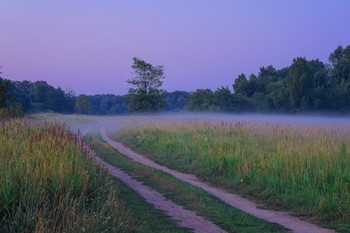 Before Sunrise / ***