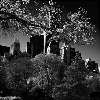 Autumn in New York / ***