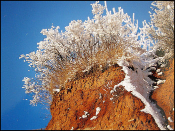 Rime / ***