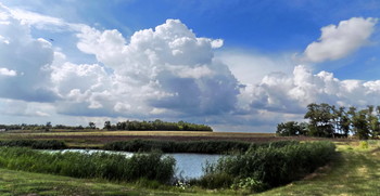 At the pond / ***