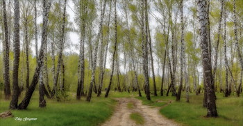 Spring in the woods. / ***