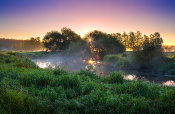 Morgennebel / ***