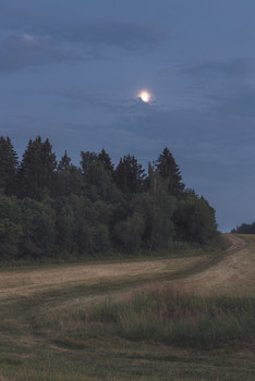 A quiet evening / ***