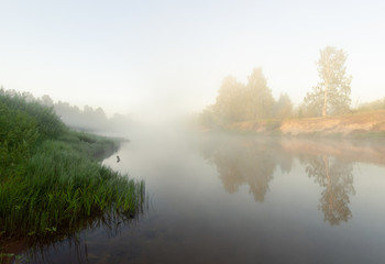 Quiet morning / ***