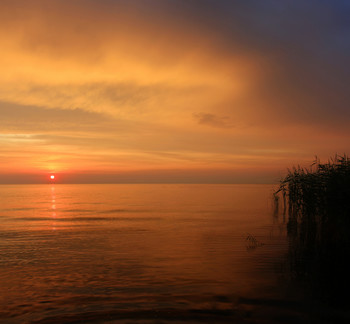 Evening / ***
