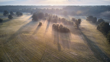 Summer Morning / ***